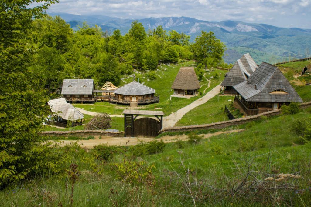 Raven'S Nest Hotel Sălciua de Jos Exterior foto